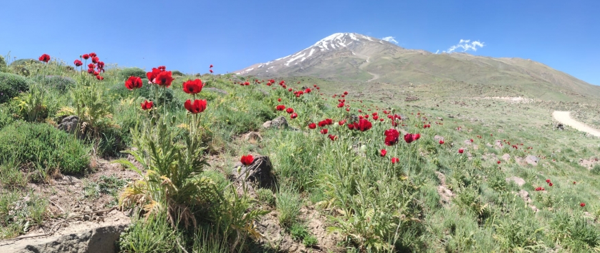 DEMAVEND DAĞI ZİRVE TIRMANIŞI